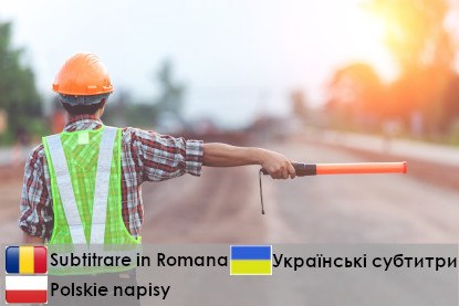 Traffic Marshal (Banksman)